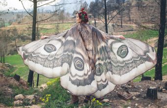 История успеха дизайнера CostureroReal – готический стиль и бабочки История успеха дизайнера CostureroReal - готический стиль и бабочки